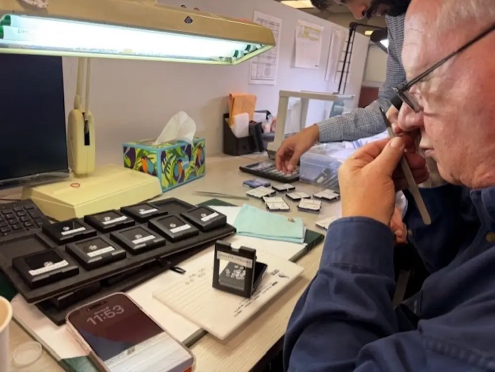 Elliott Herzlich of Elliott's Jewelers hand-selecting diamonds for a jewelry piece